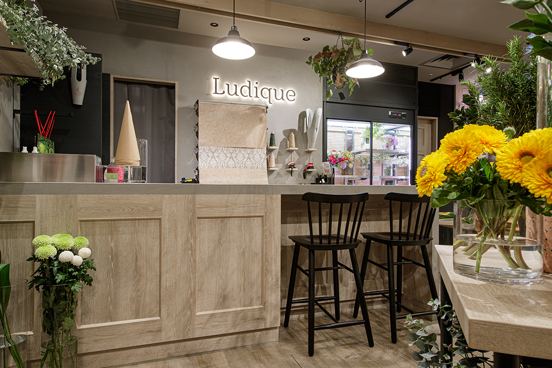 Ludique by Hanahiro-2