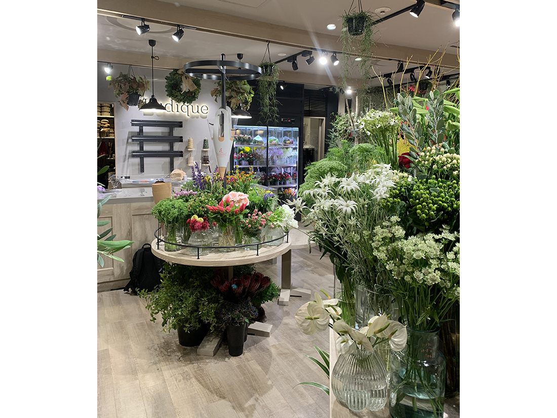 Ludique by Hanahiro-3