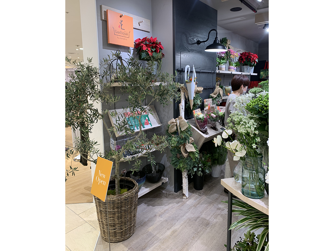 Ludique by Hanahiro-5